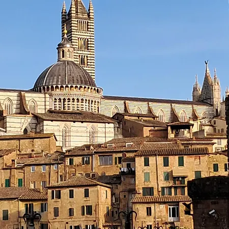 Minerva Siena
