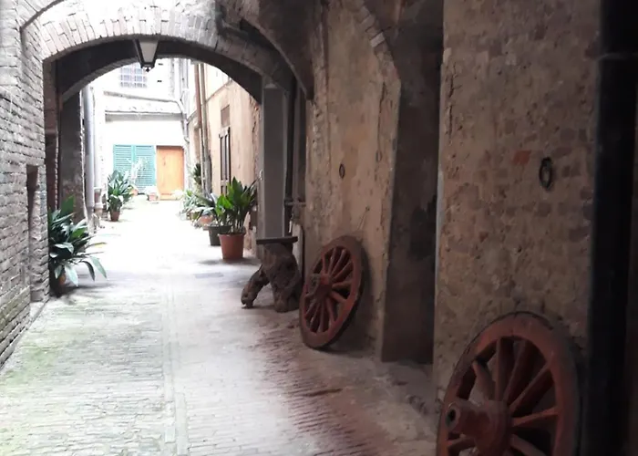 미네르바 시에나