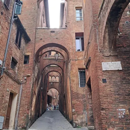 فندق منيرفا