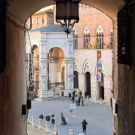 منيرفا فندق