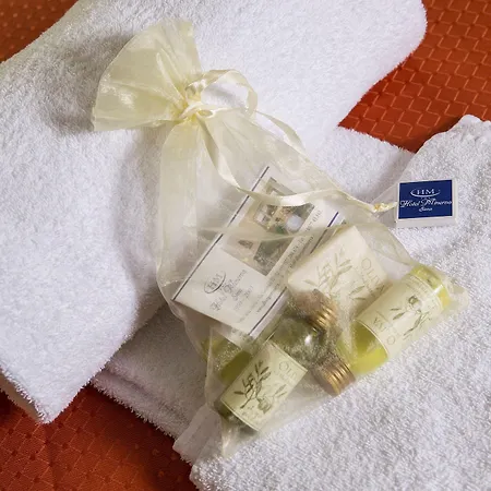 Minerva Hotell Siena